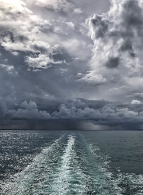 3   Storm   Michael Falding (Large)