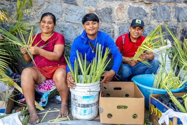 D6f6de2b 6d09 410d a678 80425f8fed73 image 1 (Large)