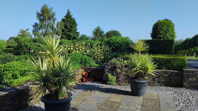 IMG 20260524 091720 (Large)