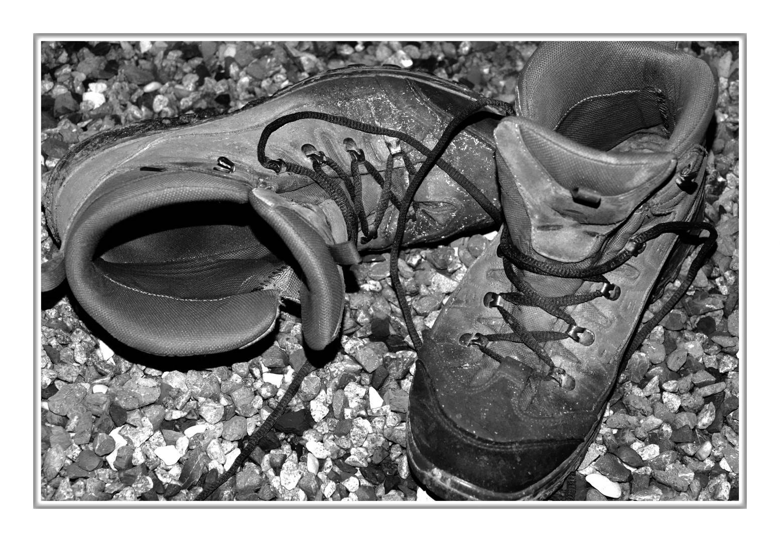 Cid f mmcjwrx80 (Large)